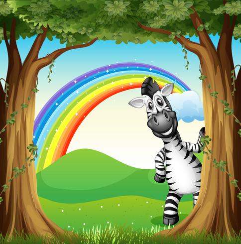 Ein Zebra in der Nähe der Bäume und ein Regenbogen am Himmel vektor