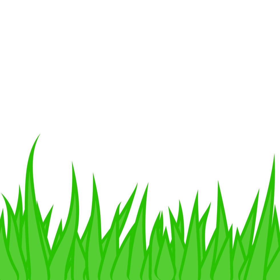 Gras isoliert auf weißem Hintergrund. vektor