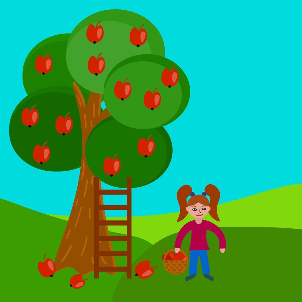 süßes Cartoon-Mädchen im flachen Stil, das Äpfel von einem Apfelbaum erntet. vektor