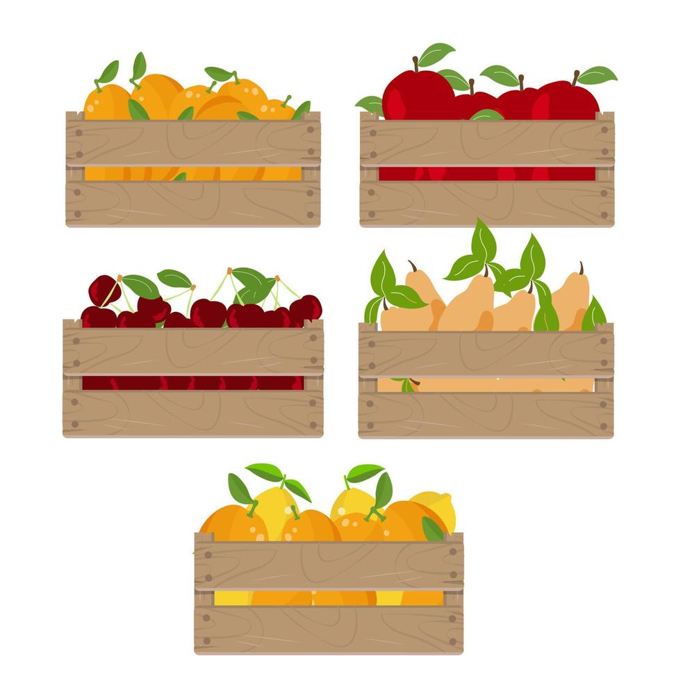 Holzkiste mit Früchten. Fall mit Orange, Zitrone, Apfel, Birne und Kirsche isoliert auf weißem Hintergrund. Vektor-Illustration. vektor