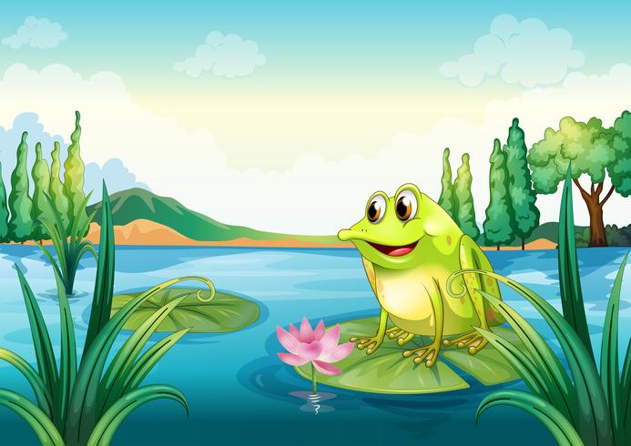 Ein Frosch am Fluss vektor