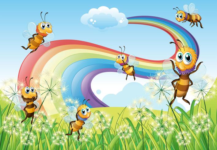 Bienen am Hügel und ein Regenbogen am Himmel vektor