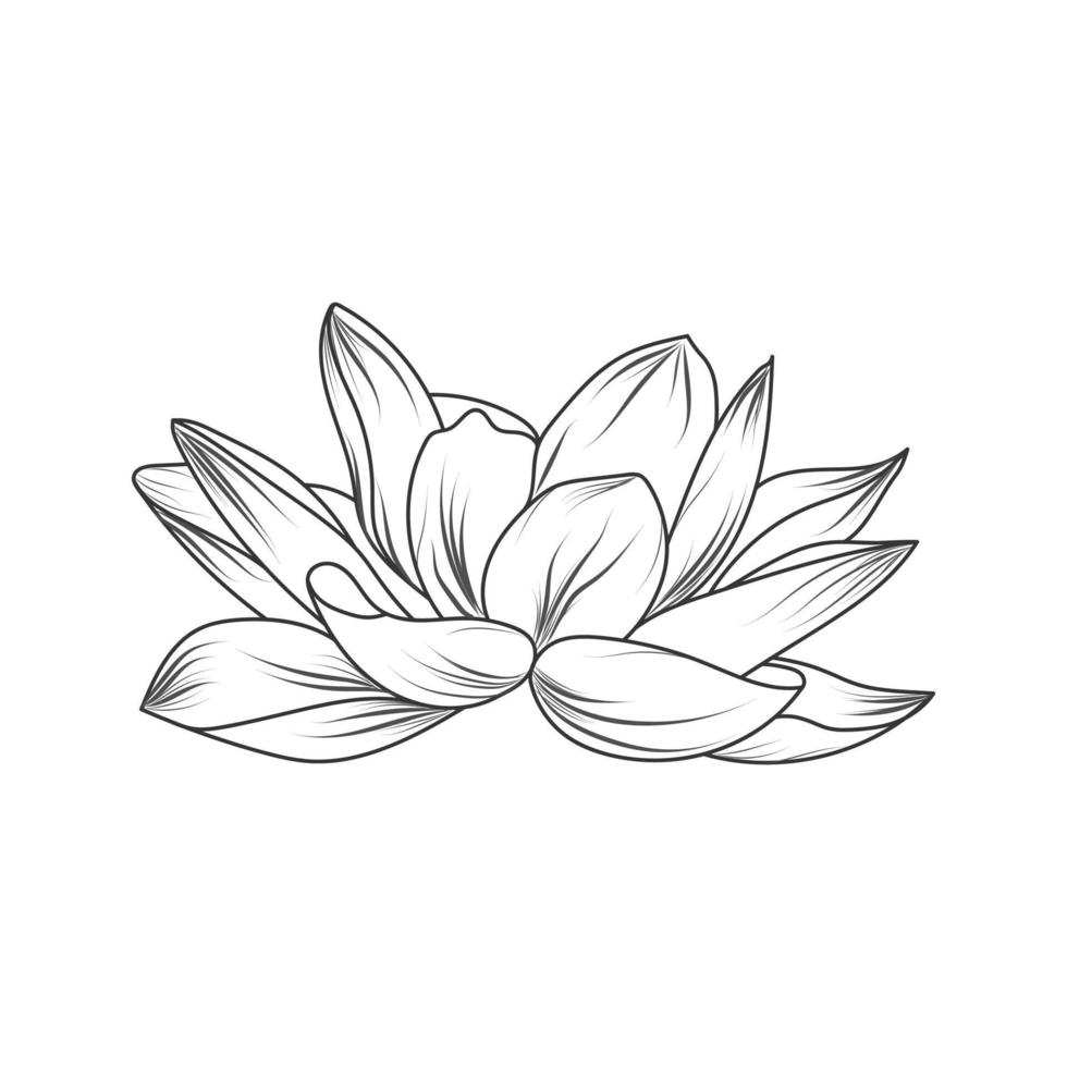 linjekonst av skiss blomma. abstrakt handritad vektorillustration. abstrakt växtkonstdesign för tryck, heminredning, omslag, tapeter, minimala och naturliga väggkonstaffischer vektor