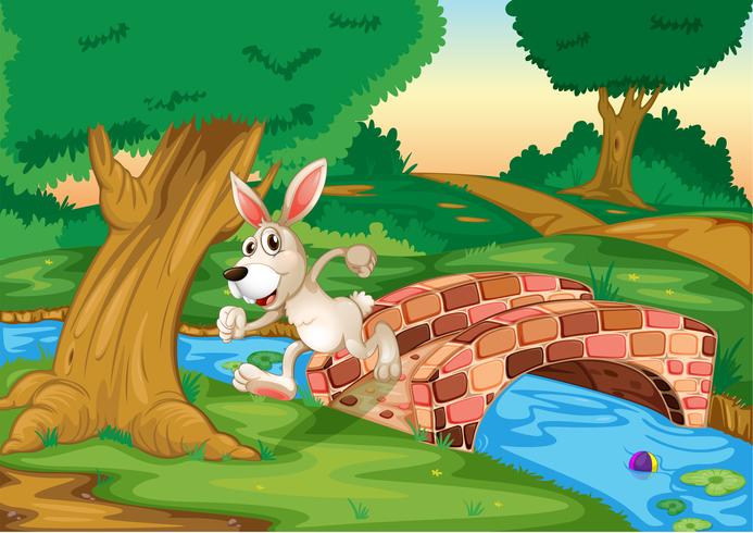 Ein Hase rennt über die Brücke vektor