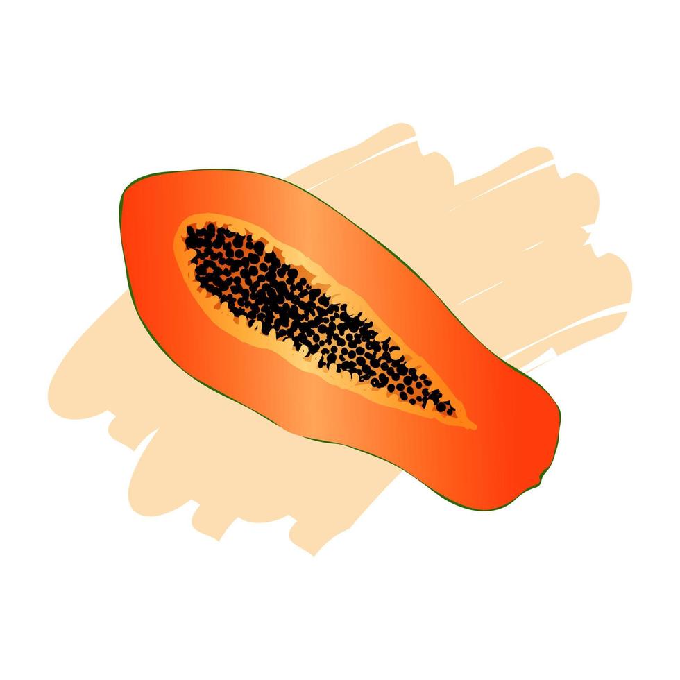 färsk halvskivad papayafrukt isolerad på en vit bakgrund vektor