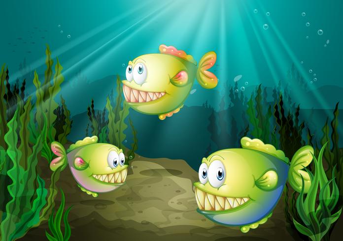 Tre piranhas under havet med sjögräs vektor
