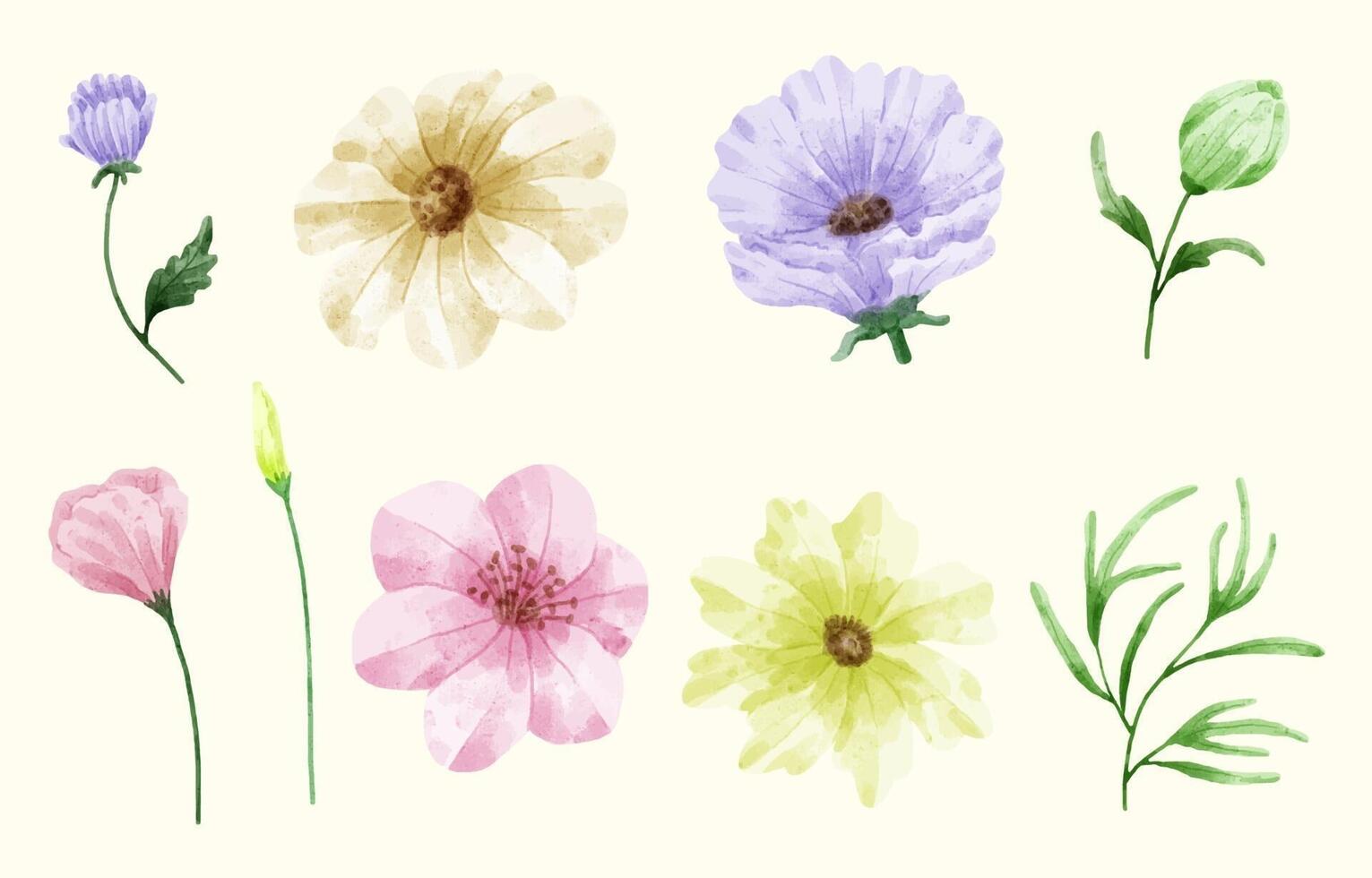 Eine Reihe von Blumen, die in Aquarellfarben für Designerarbeiten gemalt wurden vektor