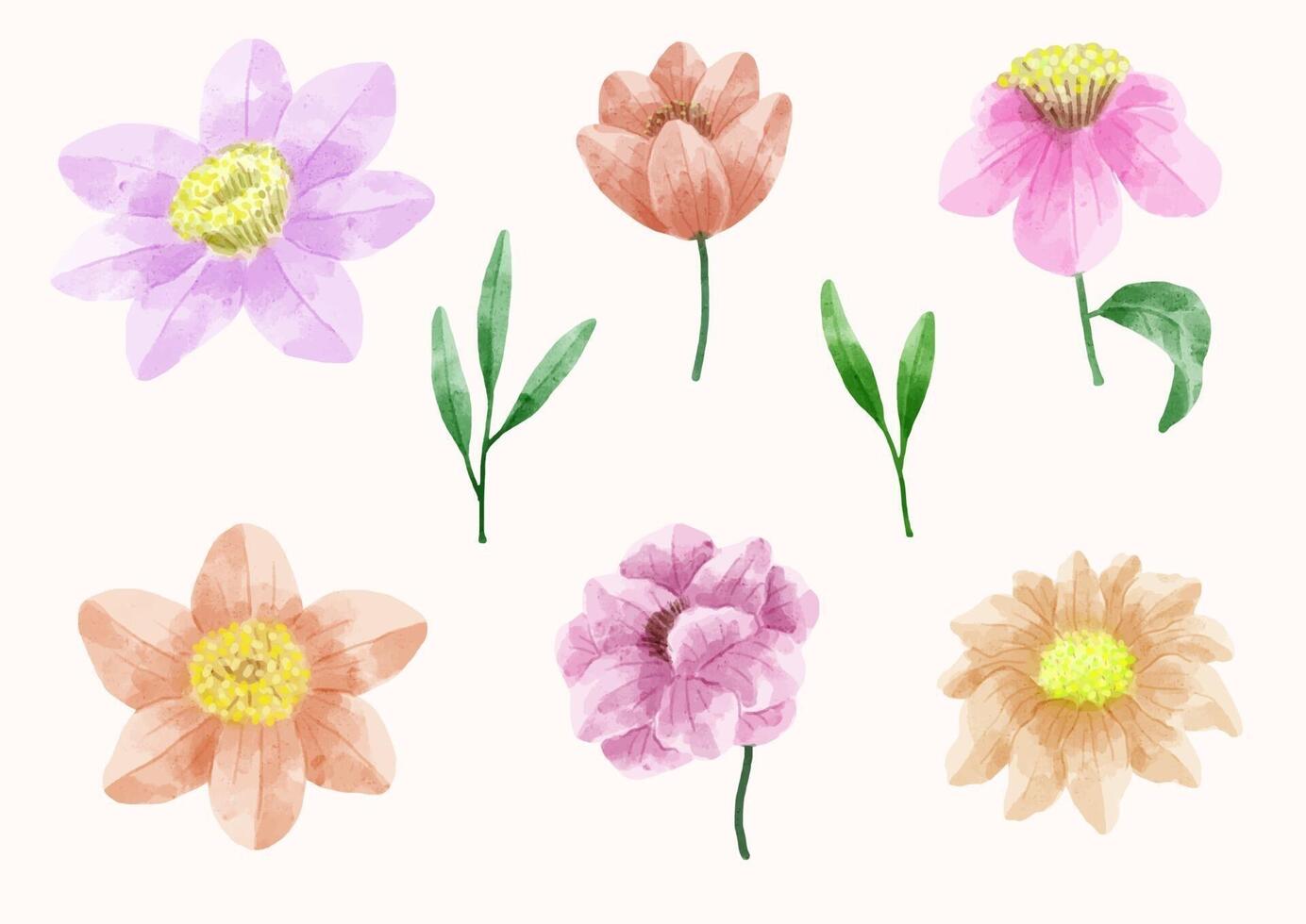 Eine Reihe von Blumen, die in Aquarellfarben für Designerarbeiten gemalt wurden vektor
