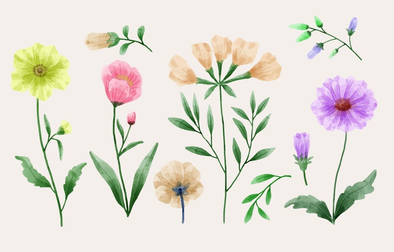 Eine Reihe von Blumen, die in Aquarellfarben für Designerarbeiten gemalt wurden vektor