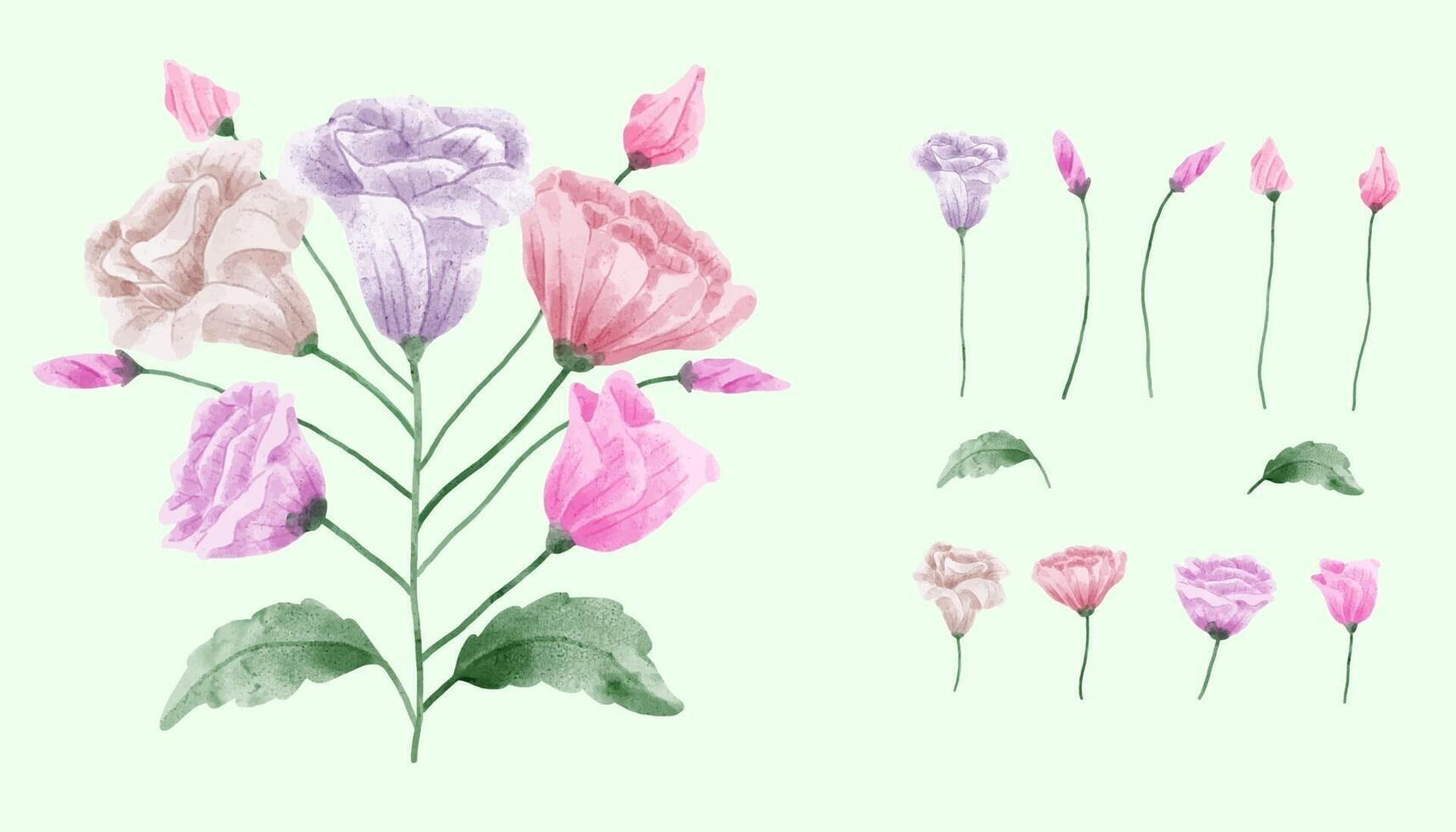 Eine Reihe von Blumen, die in Aquarellfarben für Designerarbeiten gemalt wurden vektor