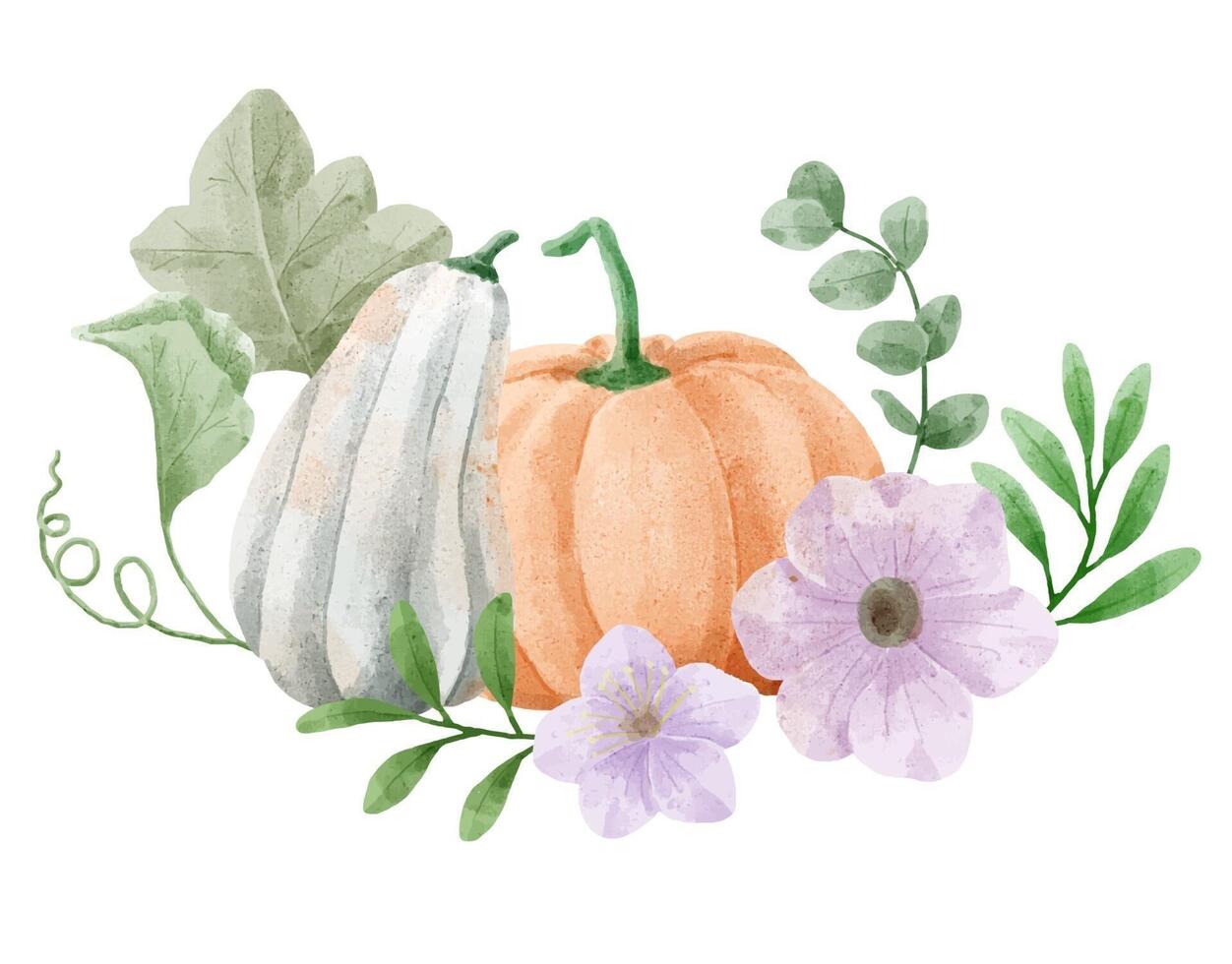 illustration av pumpor, blommor och vinstockar. bönder odlar pumpor vektor