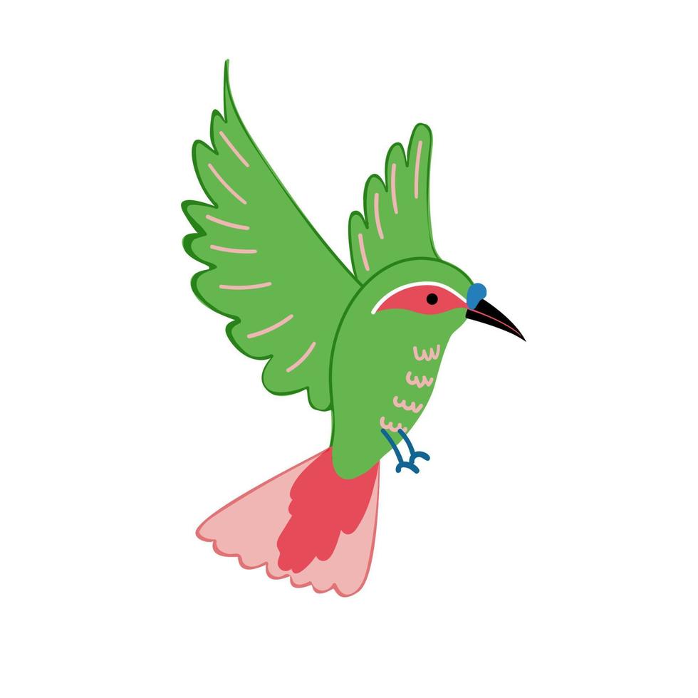 exotischer tropischer vogel der hellen farbe. vektorillustration, fliegender vogel lokalisiert auf weißem hintergrund, exotische, tropische, wild lebende clipart. hand gezeichnete skizze tropischer vogel. grüner und rosafarbener Kolibri vektor