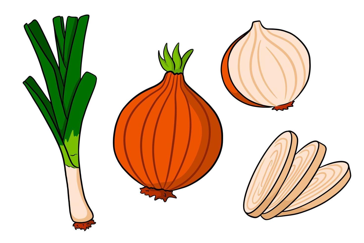 Bogen eingestellt. frische Frühlingszwiebeln und Zwiebeln ganz und geschnitten. vektor