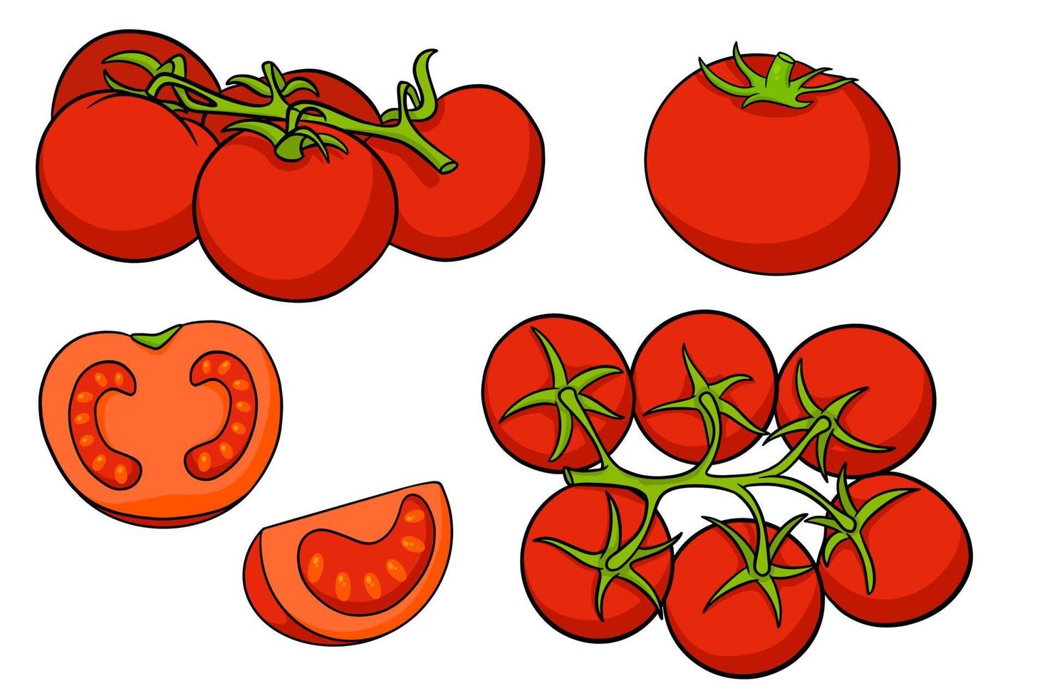 tomater set. färska tomater, tomater på en gren, en och en halv kil. vektor