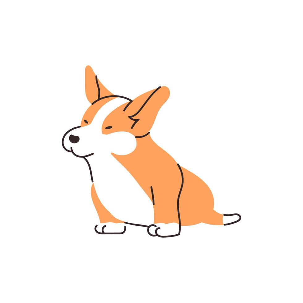söt corgi hund tecknad illustration. rolig sittande valp. vektor