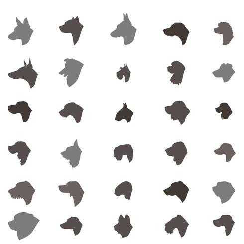 Hundekopfschattenbildikonensatz Unterschiedliches DOS-Zuchtzeichen vektor