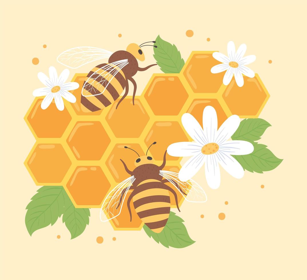bin och honungskaka vektor