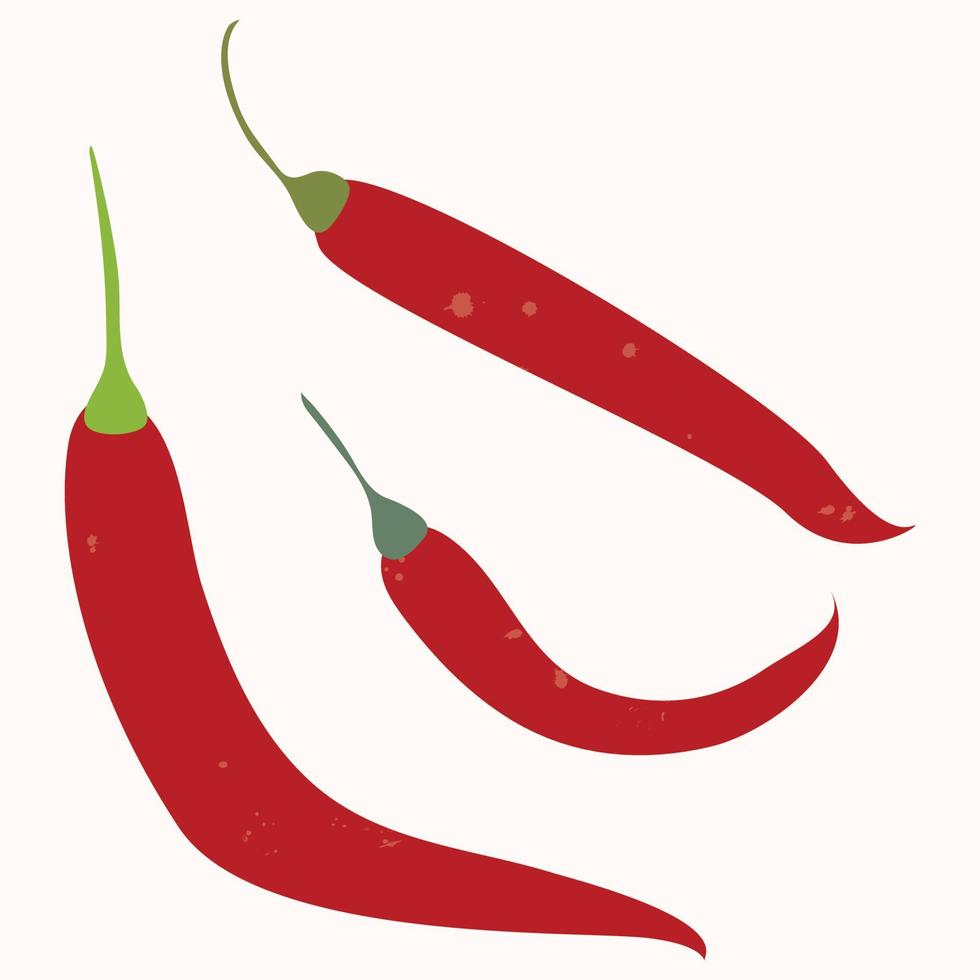 Chili-Pfeffer ist ein natürliches Gemüse, handgezeichnete Vektorillustration, die auf weißem Hintergrund isoliert ist. vektor