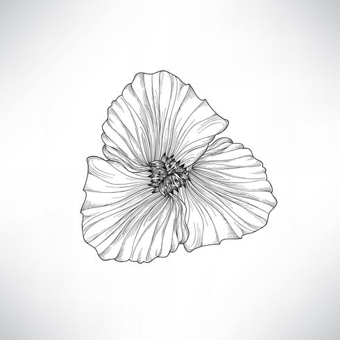 Blume isoliert Blumenstich Illustration. Vektor festgelegt