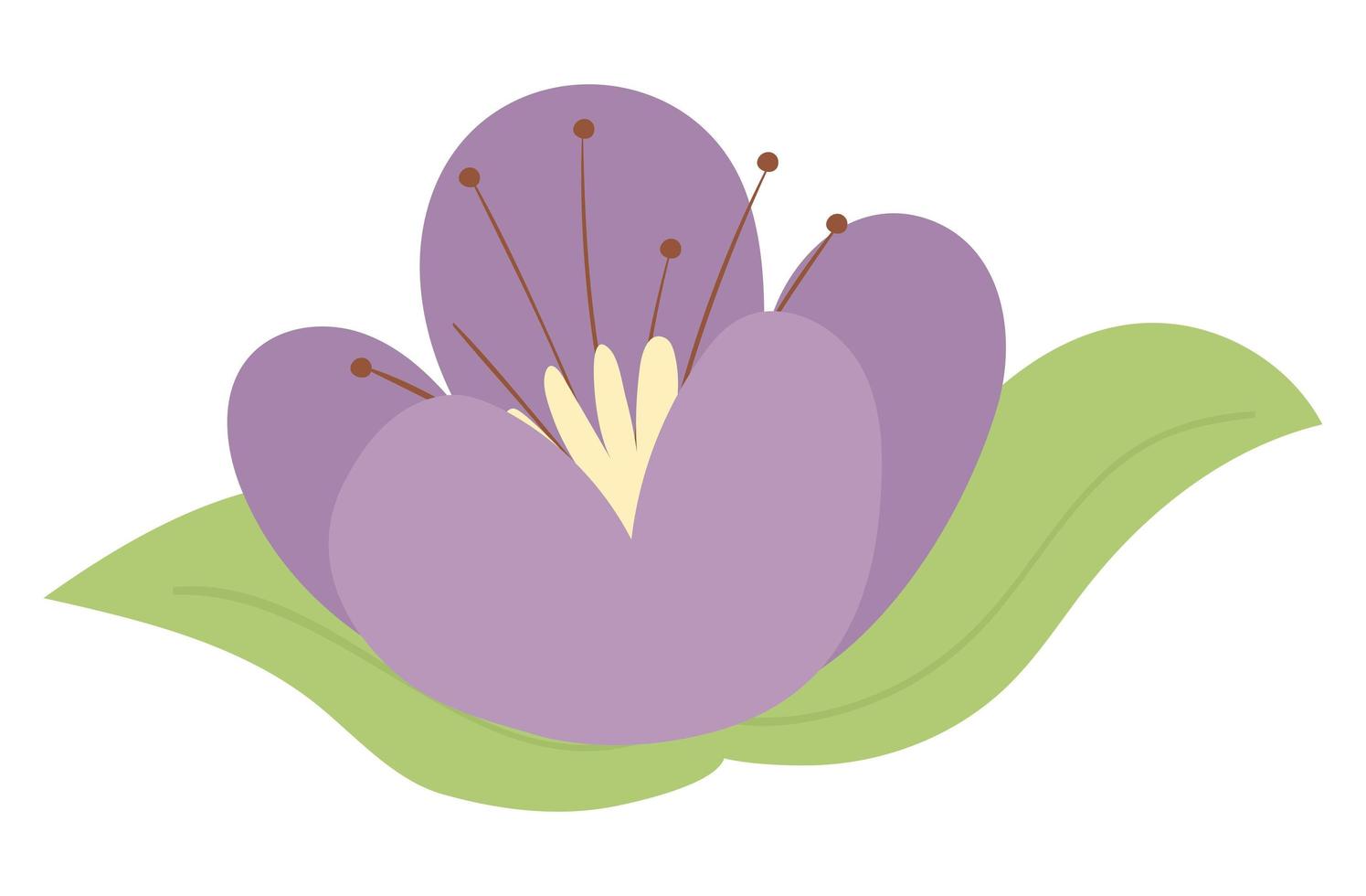 lila Blume und Blatt vektor