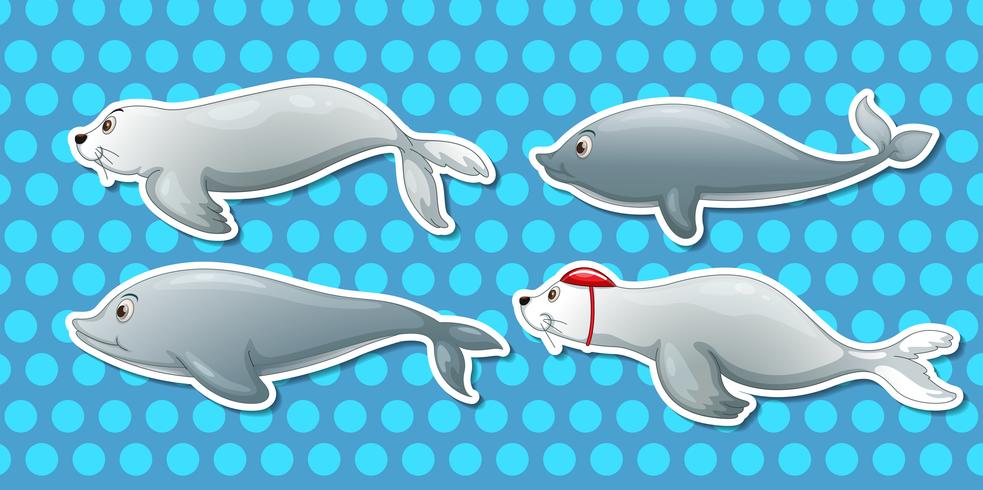 Otter och delfin vektor