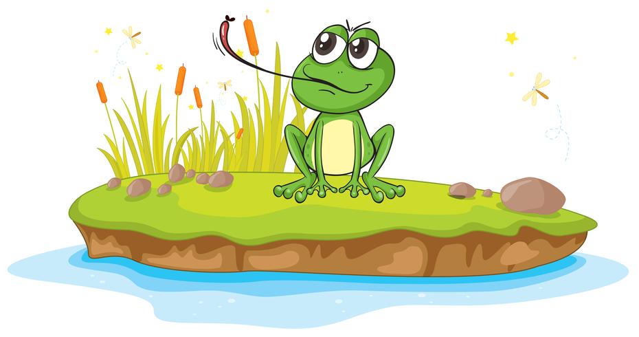 ein Frosch und Wasser vektor