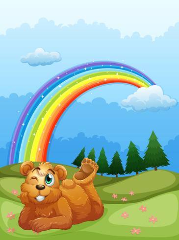 En björn på kullen med en regnbåge i himlen vektor