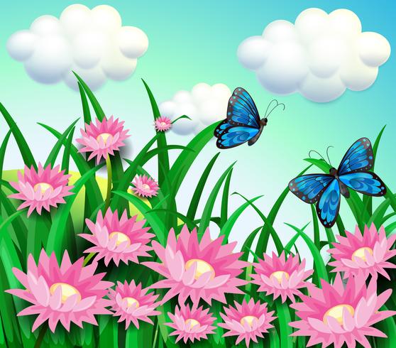 Schmetterlinge im Garten mit rosa Blumen vektor
