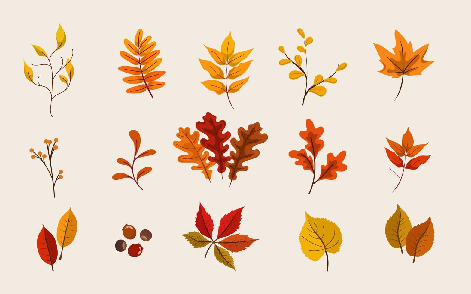 eine Reihe von Blättern im Herbst vektor