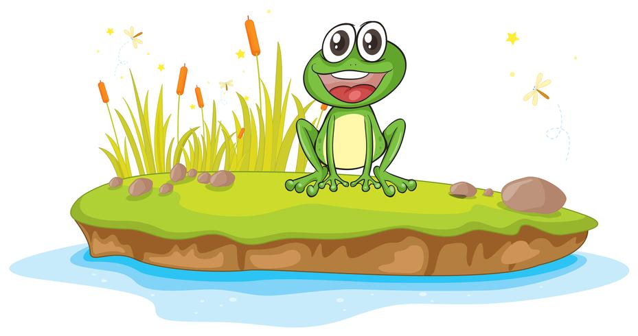 ein Frosch und Wasser vektor