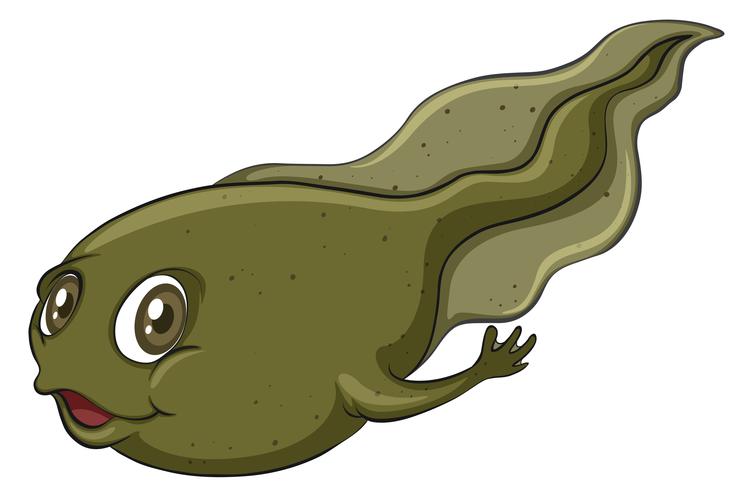 En tadpole vektor