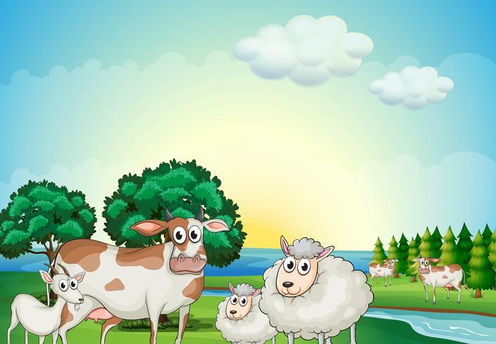Schafe, Kuh und Ziege in der Nähe des fließenden Flusses vektor