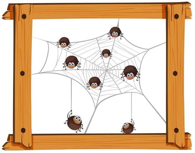 Många spindlar på webben vektor