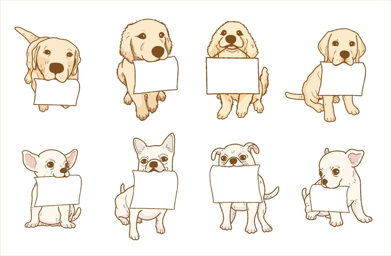 tecknad chihuahua hund, golden retrieverdog med tomt papper. hund ovanför banderoll eller skylt. illustration vektor