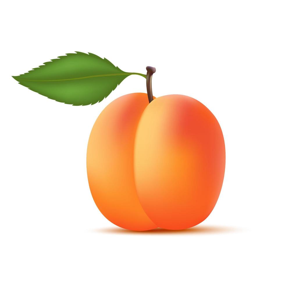 persika apelsin med persikoskivor och blad. vitaminer, hälsosam mat frukt. på en vit bakgrund. realistisk 3d vektorillustration. vektor