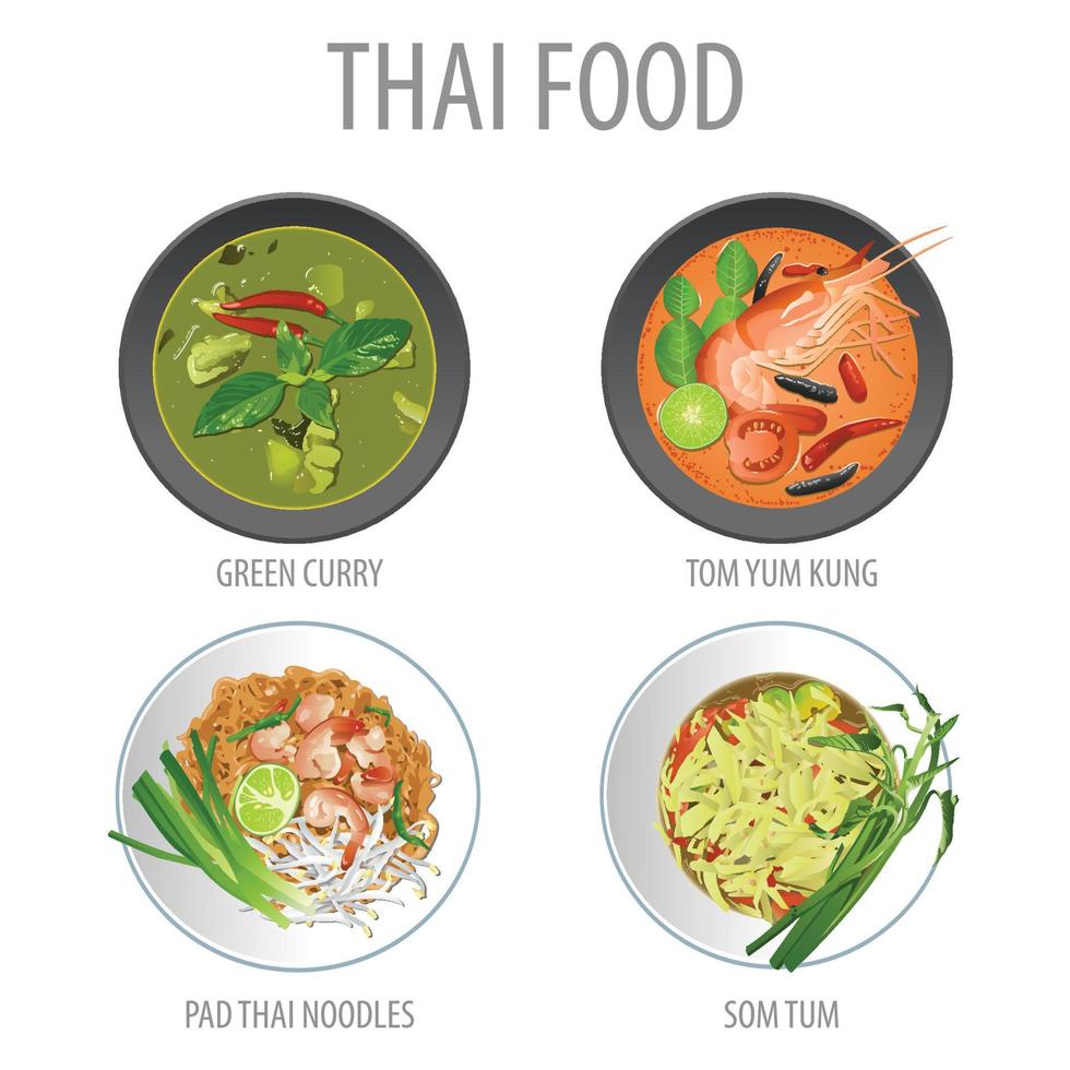 bunt av berömd thailändsk mat, realistisk med ovanifrån stil vektor