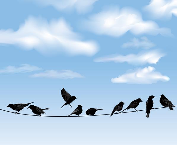 Vögel auf Drähten über Hintergrund des blauen Himmels. Wildvögel auf Draht vektor