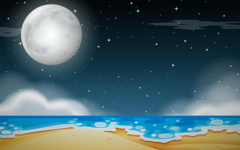 En natt strand scen vektor