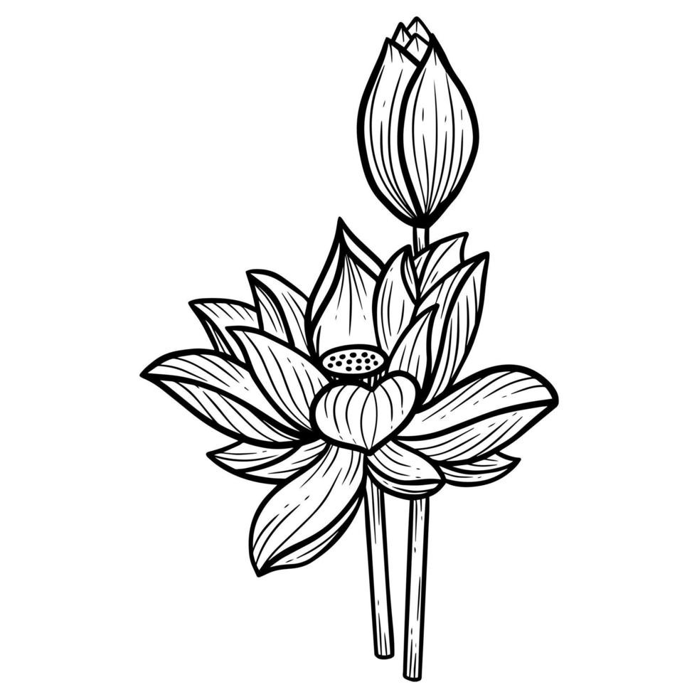 handritad blomma lotusblad naturliga isolerade klistermärke svart botanisk linjekonst illustration vektor