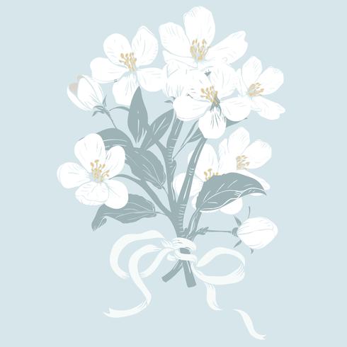 Blühender Baum. Hand gezeichnete botanische weiße Blüte verzweigt sich Blumenstrauß auf blauem Hintergrund. Vektor-illustration vektor