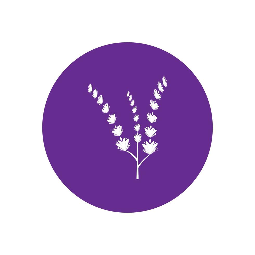 färsk lavendel blomma logotyp vektor platt design