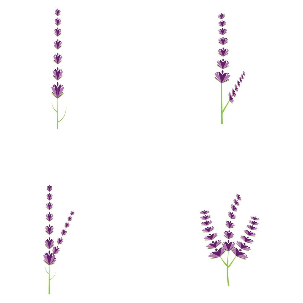 flaches design des frischen lavendelblumenlogovektors vektor