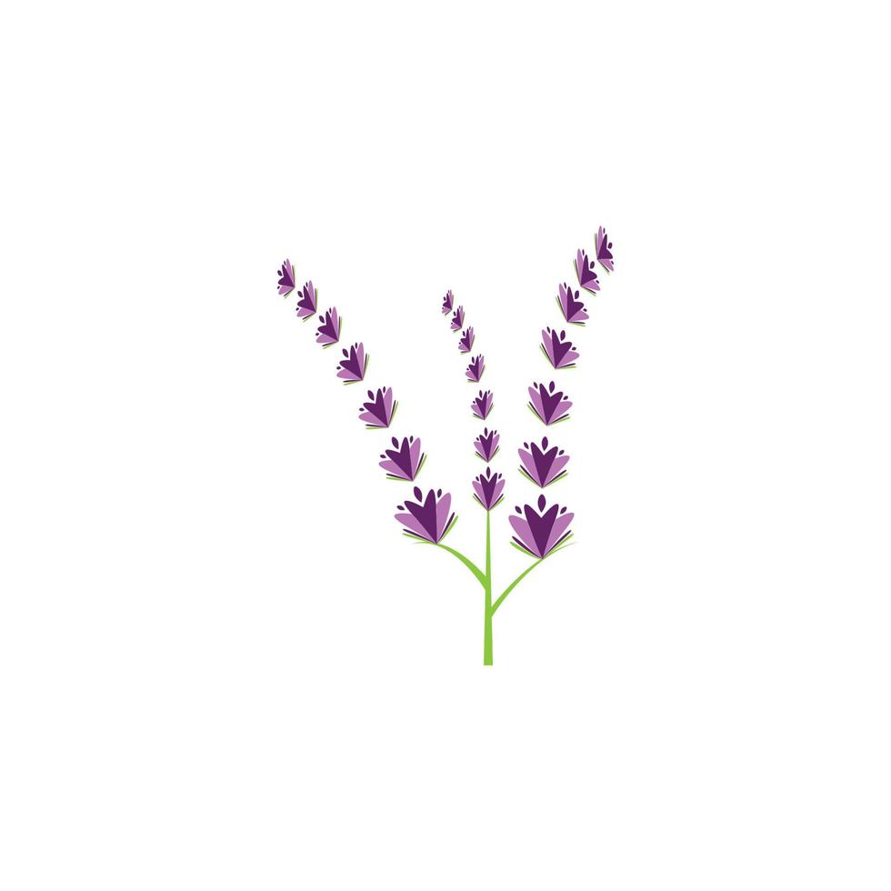 färsk lavendel blomma logotyp vektor platt design