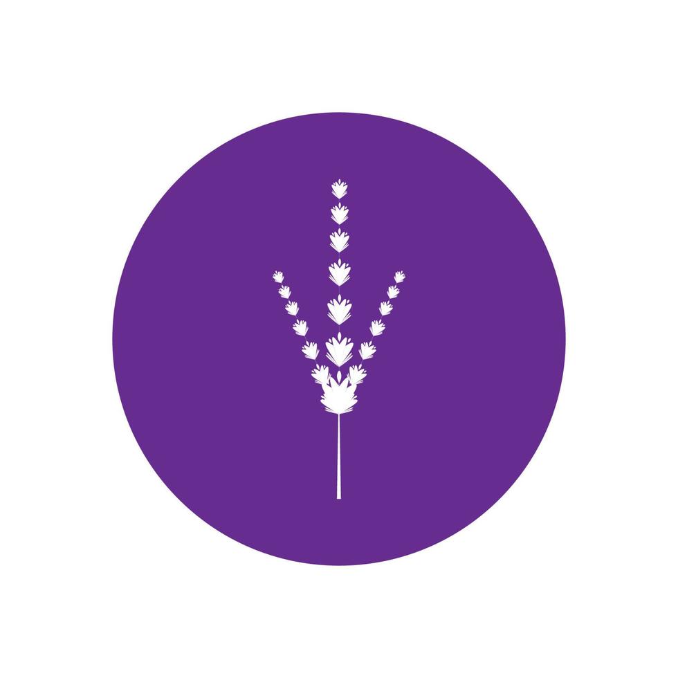 färsk lavendel blomma logotyp vektor platt design