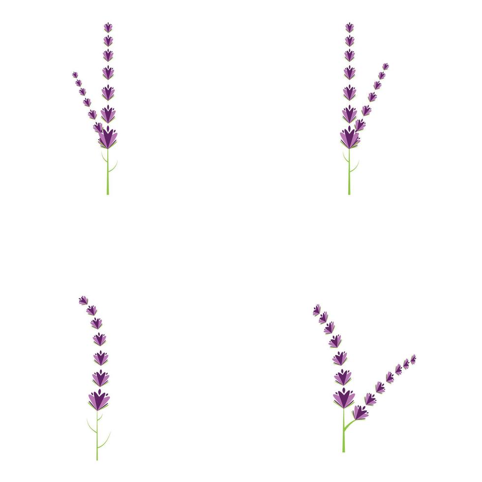 färsk lavendel blomma logotyp vektor platt design