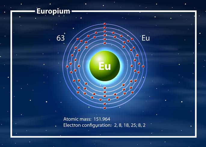 Eropium auf dem Periodensystem vektor