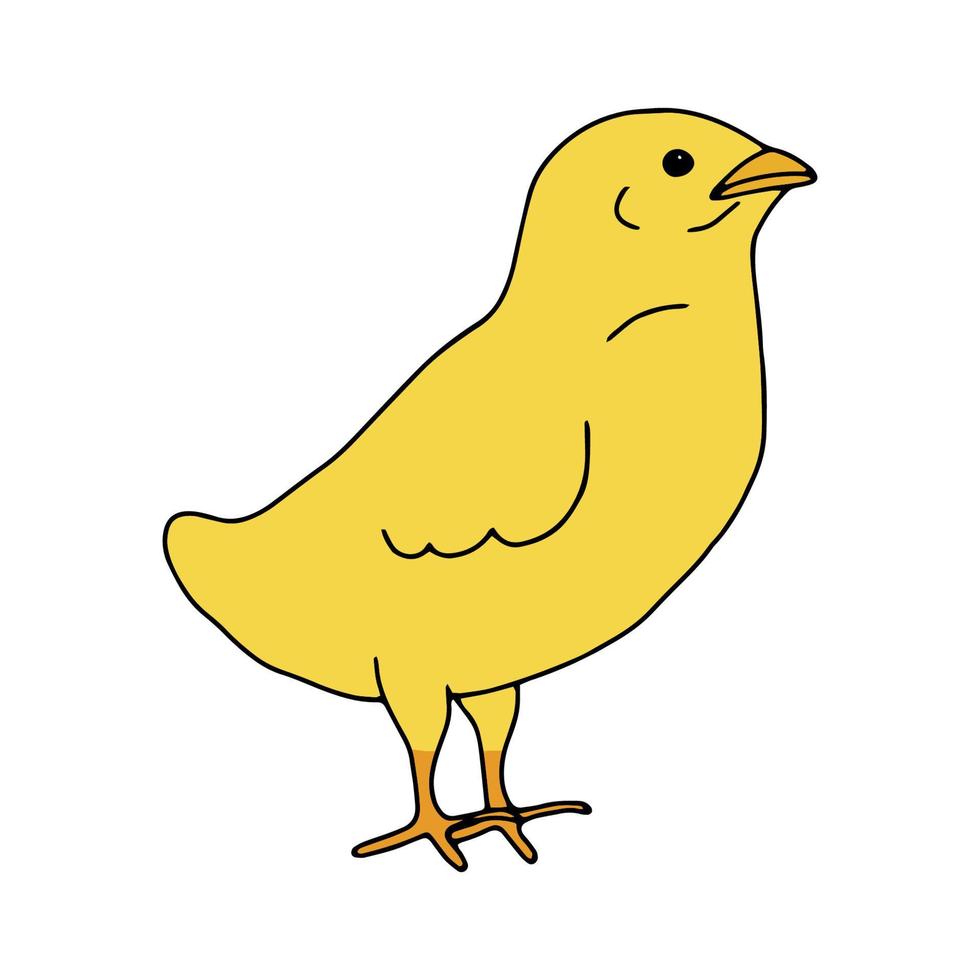 kyckling gul handritad linjeteckning. contour drawing.crawl.drawing för påskhelgen. liten chicken.bird house.vektorillustration vektor