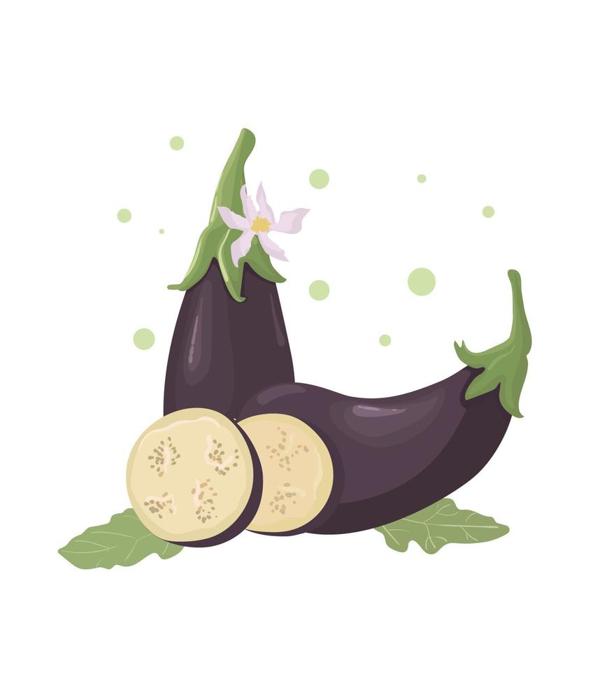 aubergine, hel frukt och skivor. vektor illustration tecknad platt ikon isolerad på vit bakgrund. färska grönsaker.