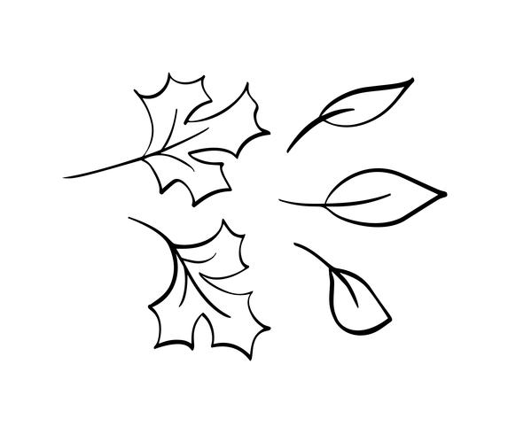 Vektorsammlung Hand gezeichneter Herbstlaub. Lokalisierte Skizzenschwarzweiss-Gegenstände, schöne Fallzeichnungselemente vektor