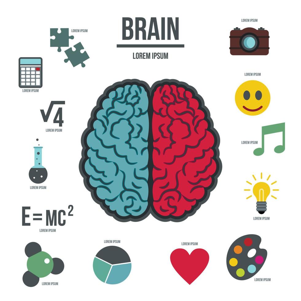 Infografiken des menschlichen Gehirns, flacher Stil vektor